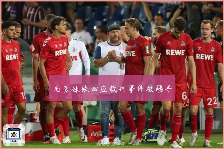 毛豆妹妹回应裁判事件被踢手